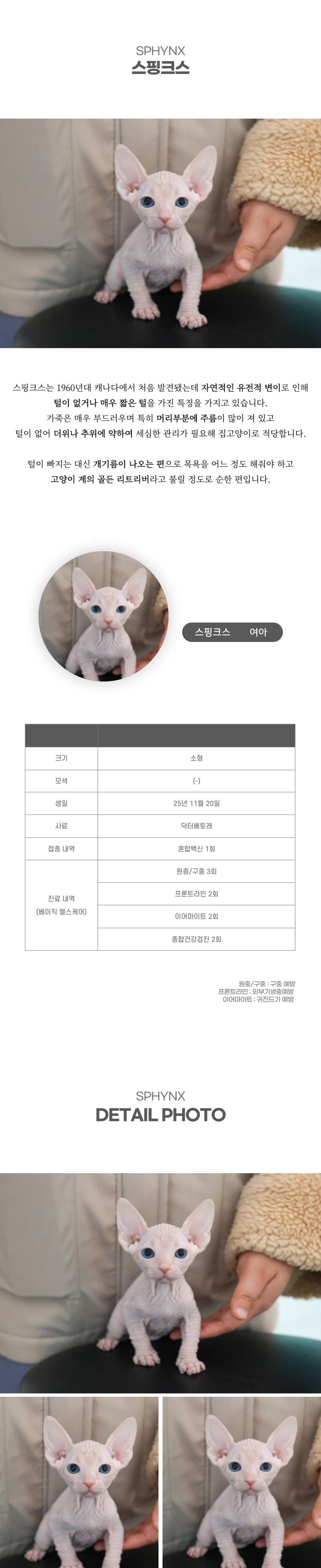스핑크스_상세이미지_2